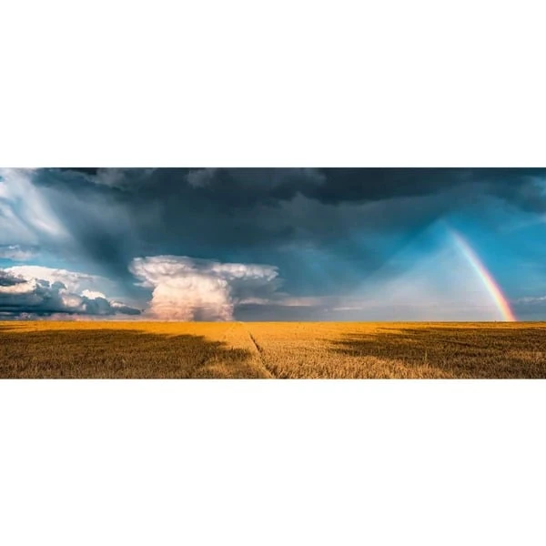 Ravensburger Puzzle Nature Edition Mystisches Regenbogenwetter – Bild 2
