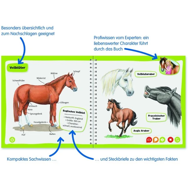 Ravensburger Tiptoi Pocket Wissen: Pferde Und Ponys, Lernbuch – Bild 4